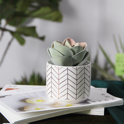 Modern Patterned Ceramic Planter