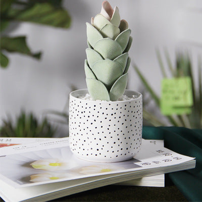 Modern Patterned Ceramic Planter