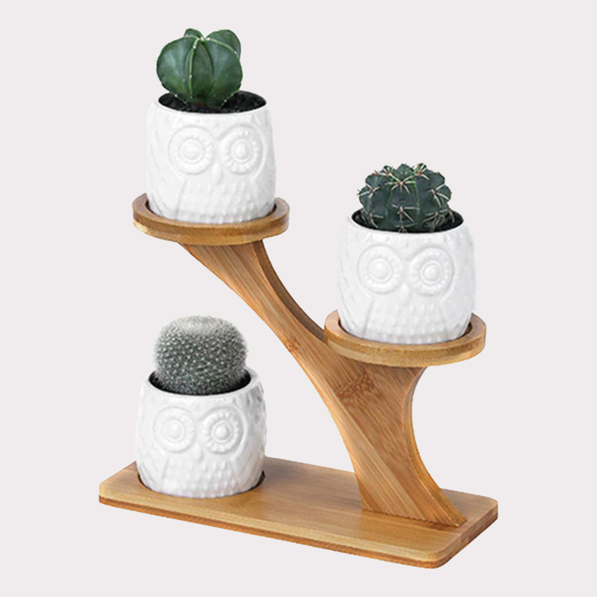 Owl Succulent Pot Stand