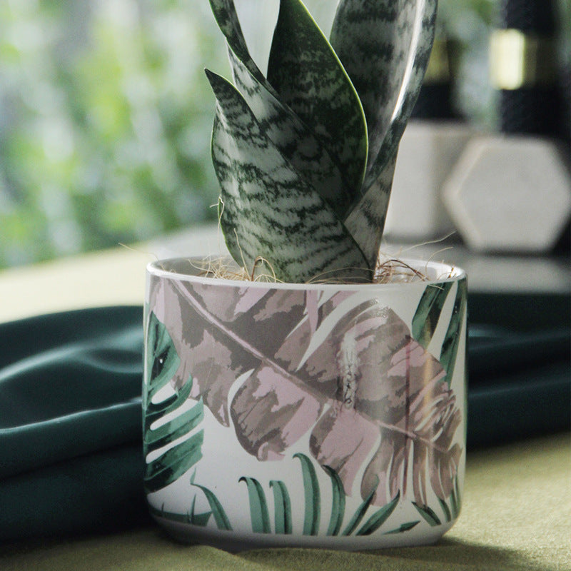 Modern Patterned Ceramic Planter