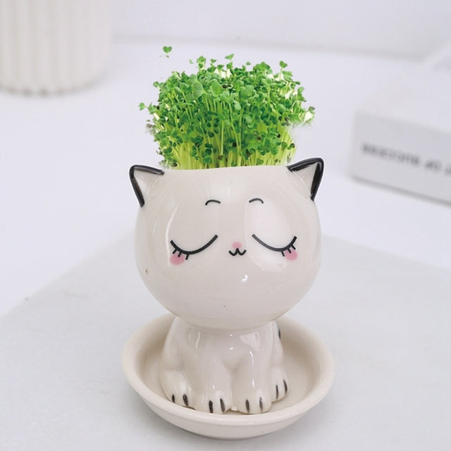 Mini Cartoon Cat Planter