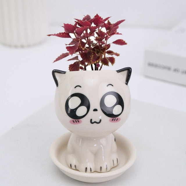 Mini Cartoon Cat Planter