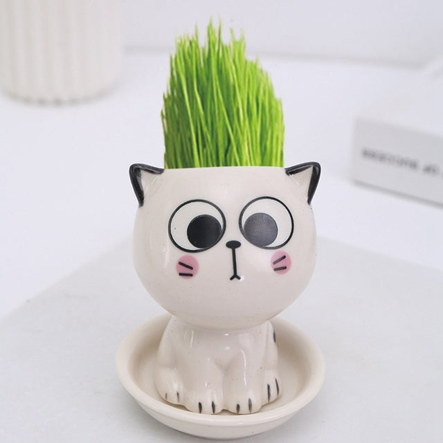 Mini Cartoon Cat Planter