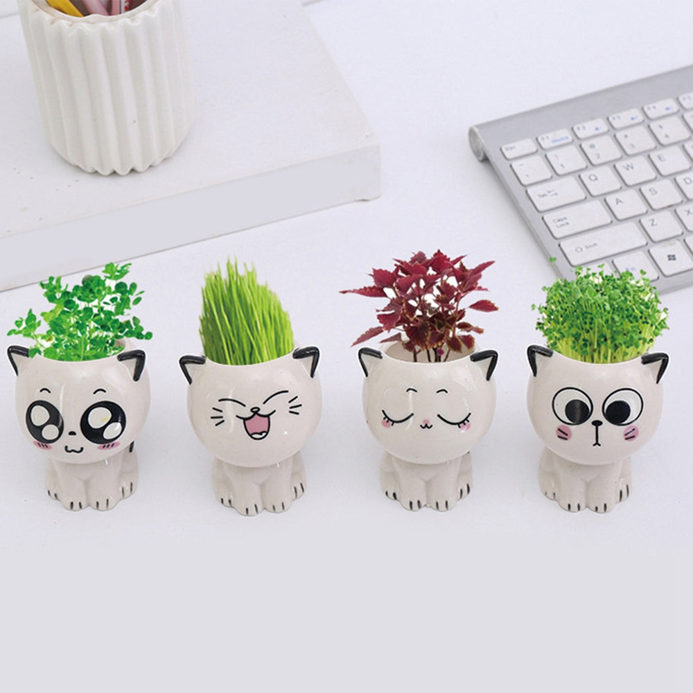 Mini Cartoon Cat Planter