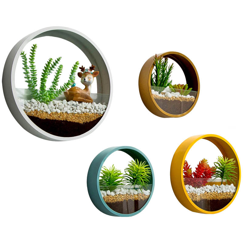 Circular Wall Hanging Plant Display