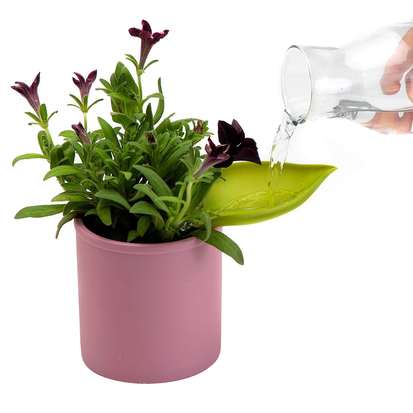 Set of Plant Watering Funnels