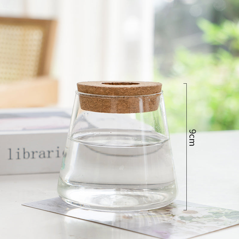 Transparent Hydroponic Vase