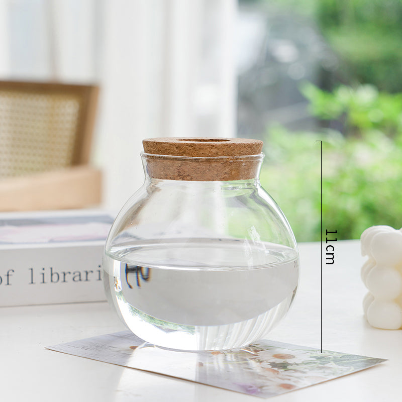 Transparent Hydroponic Vase