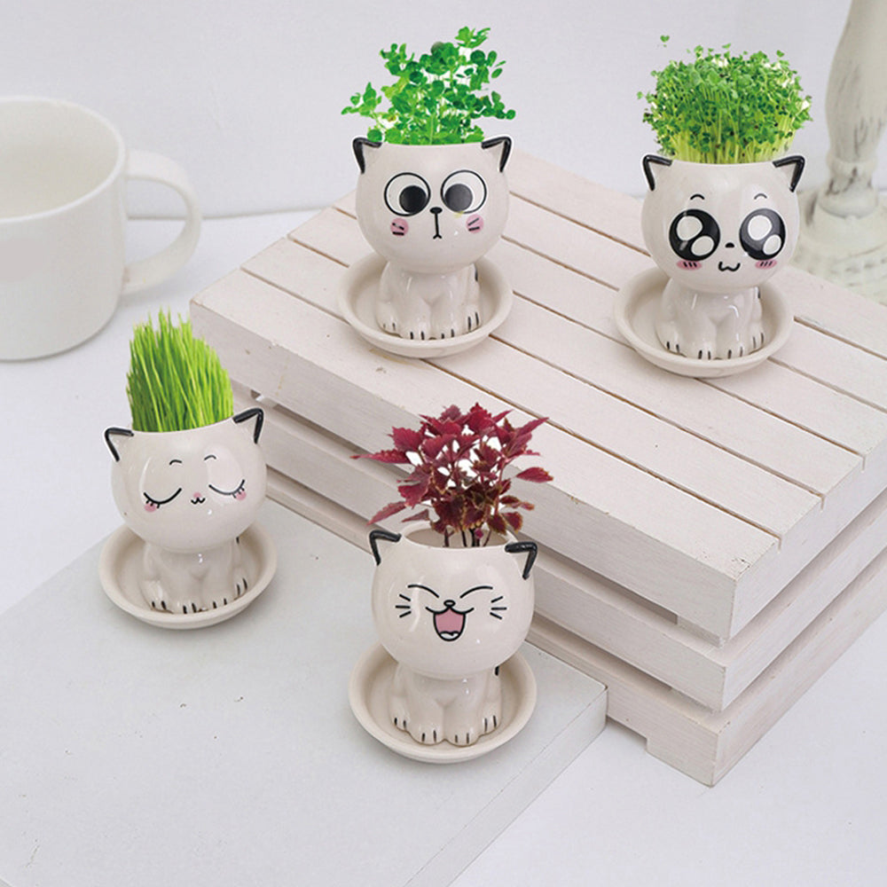 Mini Cartoon Cat Planter