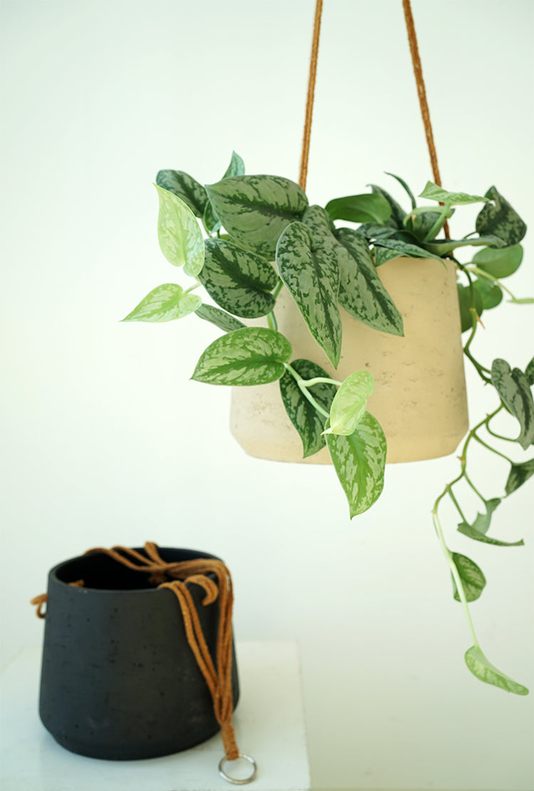 Nordic Wall Hanging Cement Planter