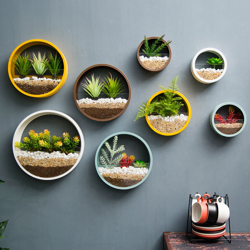 Circular Wall Hanging Plant Display