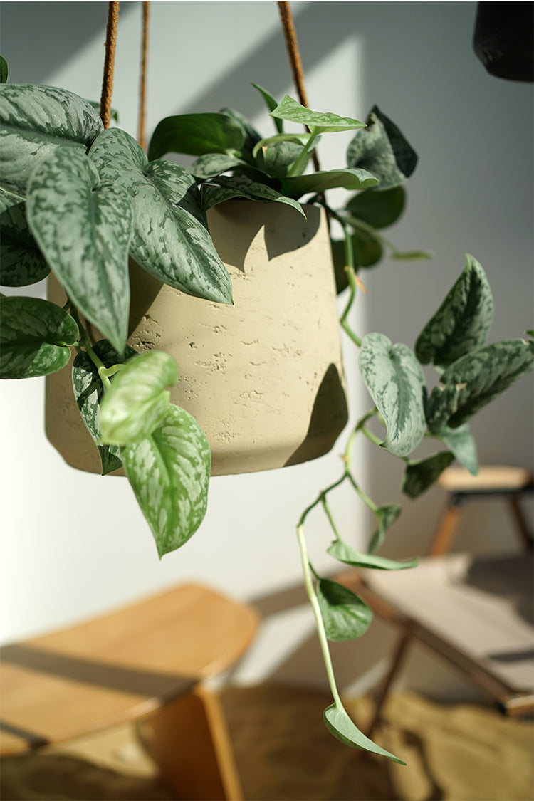 Nordic Wall Hanging Cement Planter