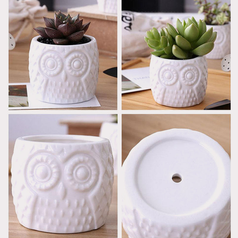 Owl Succulent Pot Stand