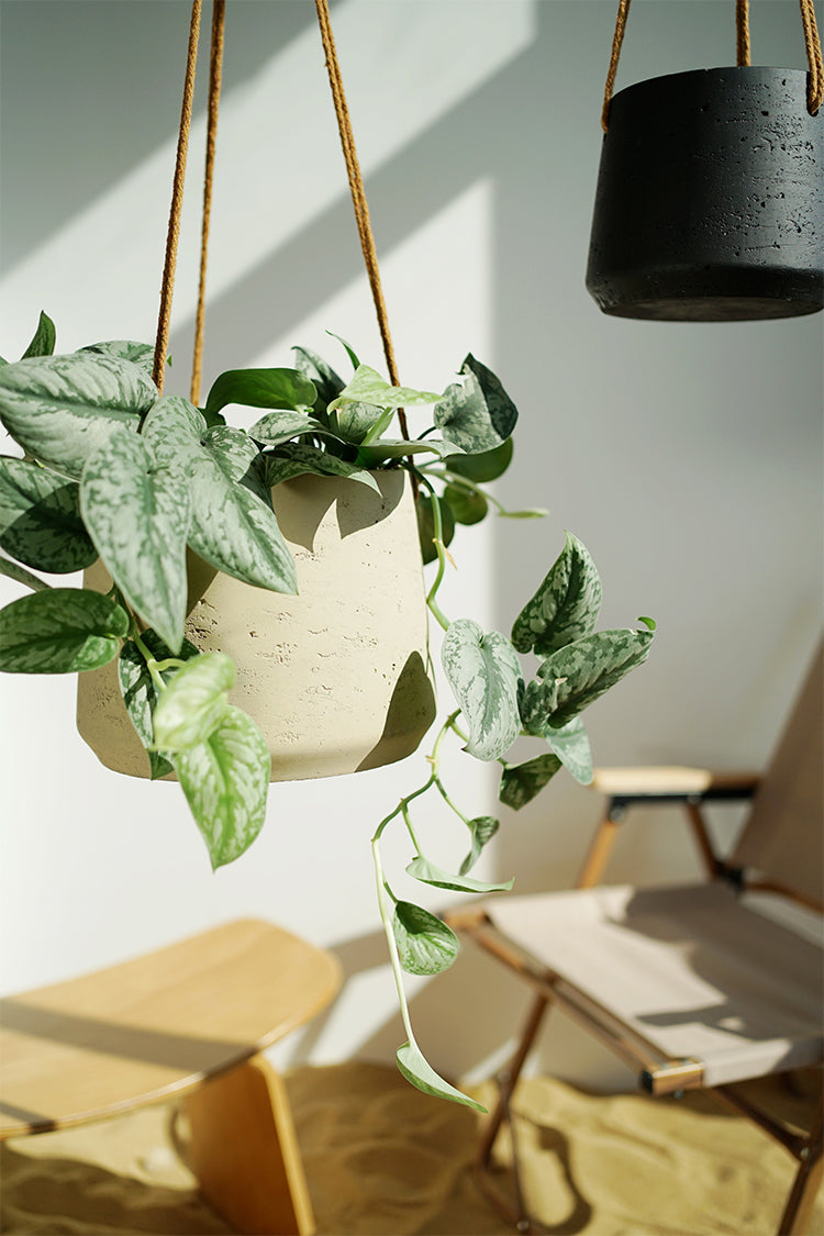 Nordic Wall Hanging Cement Planter