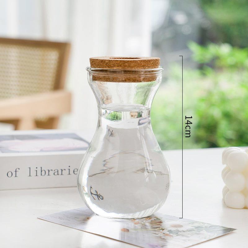 Transparent Hydroponic Vase