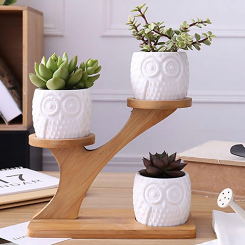 Owl Succulent Pot Stand