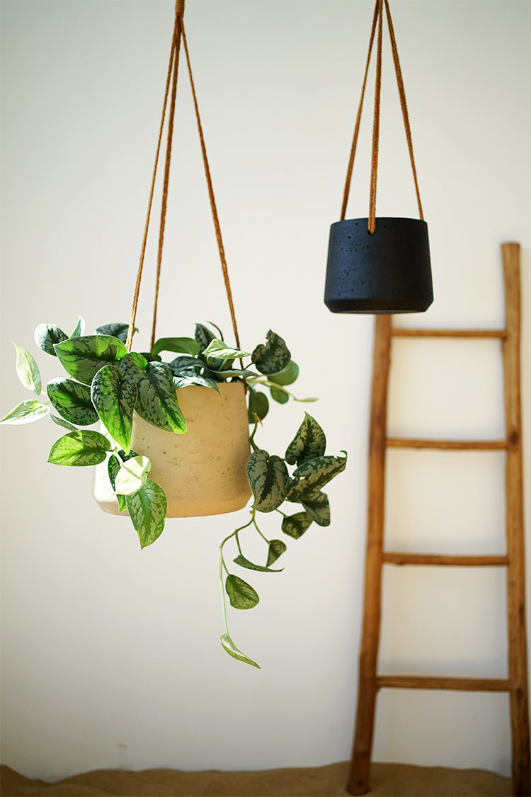 Nordic Wall Hanging Cement Planter