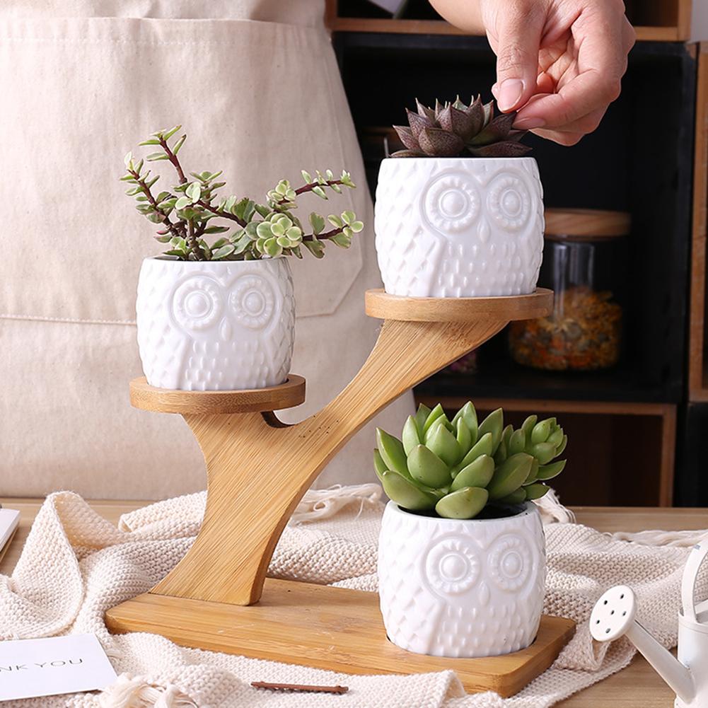 Owl Succulent Pot Stand