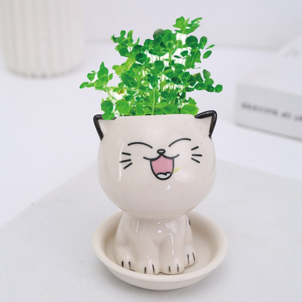 Mini Cartoon Cat Planter